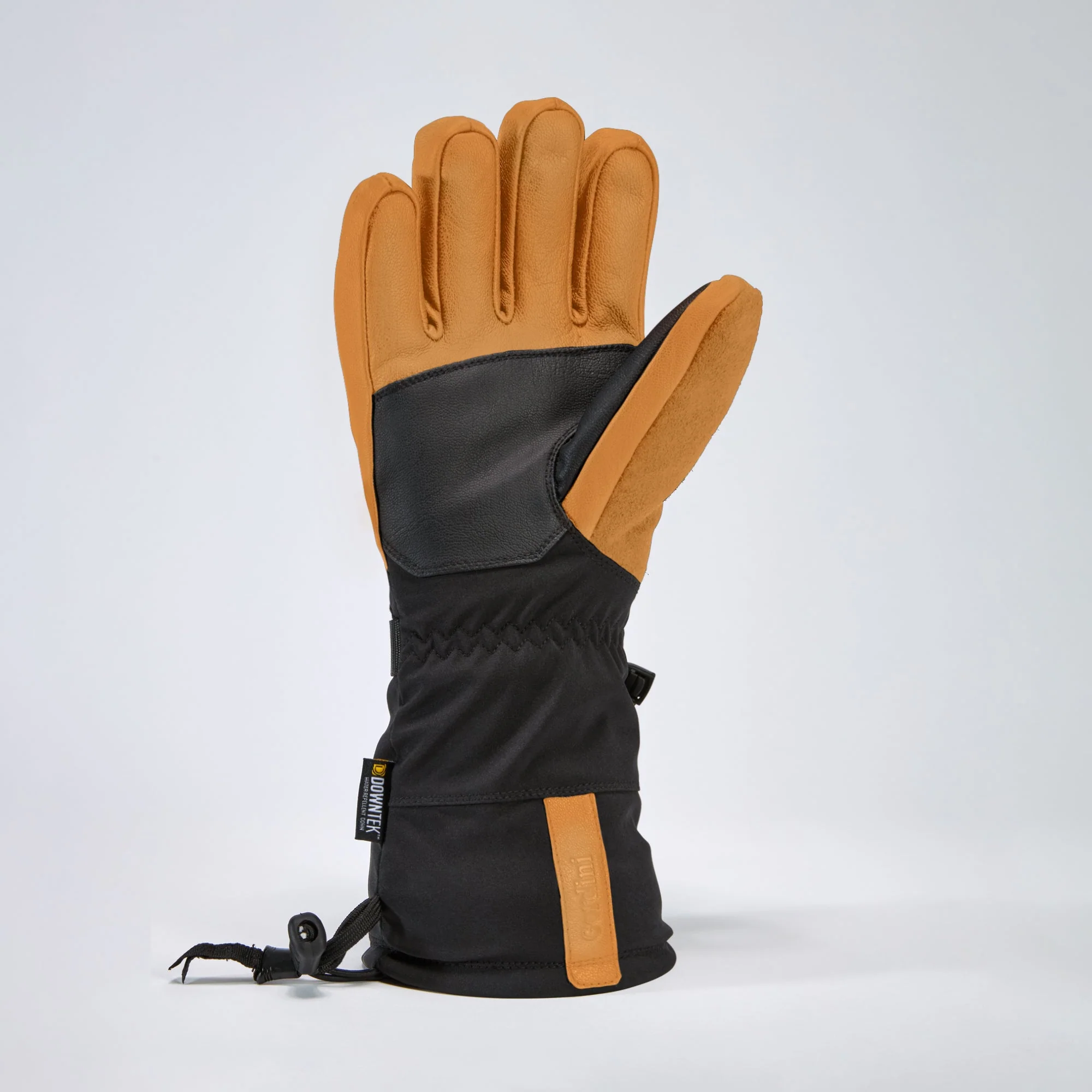 Women's Polar Glove - Image 4